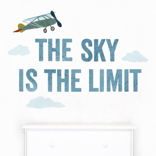 The Sky Is Limit - Fabric Wall Decal First Flight Mej - image 1