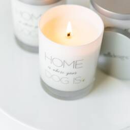 Dog Lover Gift Candle, 8Oz Soy Wax, Frasier Fir Scent - thumbnail 2