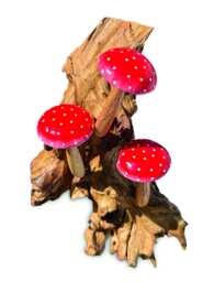 Wall-Hanging Red Spotted Mushroom Trio On Teak Root Base