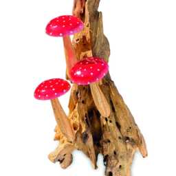 Wall-Hanging Red Spotted Mushroom Trio On Teak Root Base - thumbnail 3