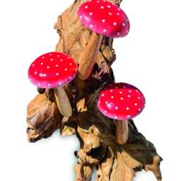 Wall-Hanging Red Spotted Mushroom Trio On Teak Root Base - thumbnail 2