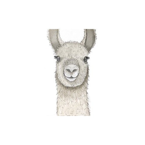 Lee The Llama Watercolor Alpaca Farm Art - image 1
