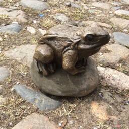 stone Frog Toad Garden Ornament Large Sat On A Wildlife Pond Free UK Shipping - thumbnail 2