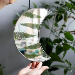 Crescent Moon Mirror With Pressed Fern, Framed Herbarium Wall Art Decor, Witchy Elven Forest Room Dried Herbs in Stained Glass - thumbnail 3