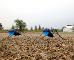 Twin Beautiful Blue Spiders Repurposed Art