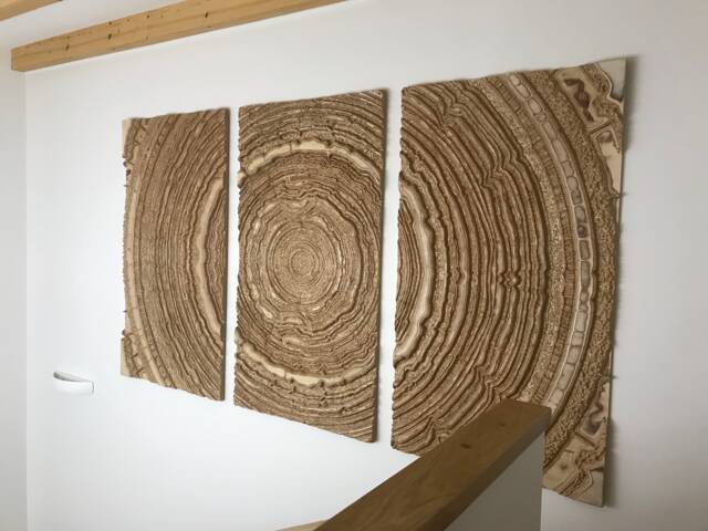 Wood Trunk Triptych, Birch Veneer Wall Art Panel, Modern Home Decor - image 1