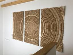 Wood Trunk Triptych, Birch Veneer Wall Art Panel, Modern Home Decor - thumbnail 1