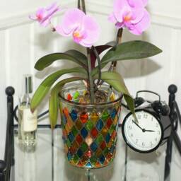 Hand Painted Orchid Pot-Phalaenopsis Transparent Planter-Glass Flowers Pot-Hand Vase-Multicolor Glass Vase-Nature Inspired - thumbnail 3