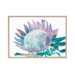 King Protea Art, Protea, Print, Painting, Botanical Series, Australian Native, Native Wall Print Decor - thumbnail 2