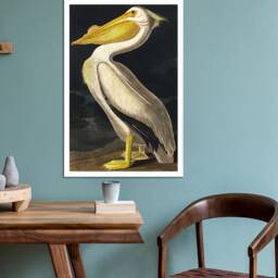 American White Pelican, John James Audubon, Wall Art , Hangins , Home Decor, Mounted Canvas Print Reaydy To Hang - thumbnail 3