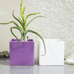 Purple Lilac Square Ceramic Planter Pot, Handmade, Succulent Air Plant Cactus, Pastel Desk Decor - thumbnail 2