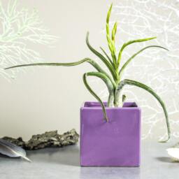 Purple Lilac Square Ceramic Planter Pot, Handmade, Succulent Air Plant Cactus, Pastel Desk Decor