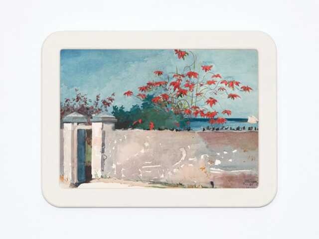 A Wall, Nassau Winslow Homer Painting Sky Flowers Wooden Framed Art Print - image 1