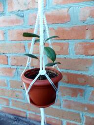 White Mini Macrame Plant Hanger 18 Inches 3mm Flower Pot Hanging Planter Wall Hanging Indoor Or Outdoor Decor Window Cord Planter Pattern - thumbnail 1
