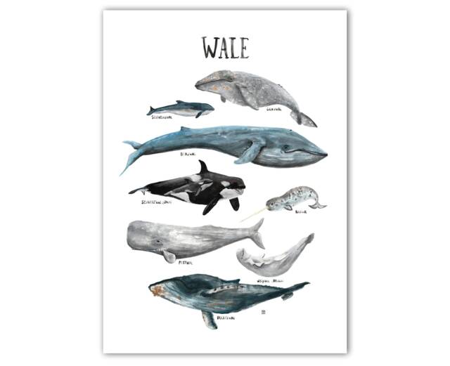 Whales Poster A2 A3 Children's Room Whales Ocean Seas Animals Nature Children Watercolor Illustrations Decoration - image 1