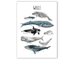 Whales Poster A2 A3 Children's Room Whales Ocean Seas Animals Nature Children Watercolor Illustrations Decoration - thumbnail 1