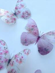 Shabby Chic 3D Butterfly Wall Decor Pink Rose Accent - Set Of 4 - thumbnail 1