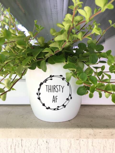 Thirsty Af Plant Pot Decal, Funny Diy Planter Sticker