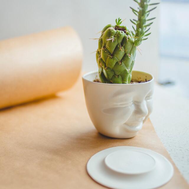 Laughing Cactus Porcelain Planter With Saucer - Creepy Cute Home Decor - image 1