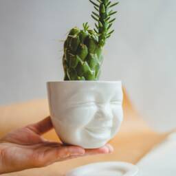 Laughing Cactus Porcelain Planter With Saucer - Creepy Cute Home Decor - thumbnail 3