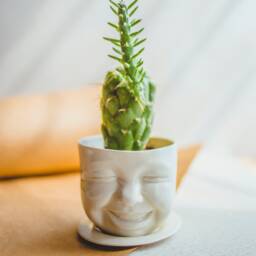 Laughing Cactus Porcelain Planter With Saucer - Creepy Cute Home Decor - thumbnail 2