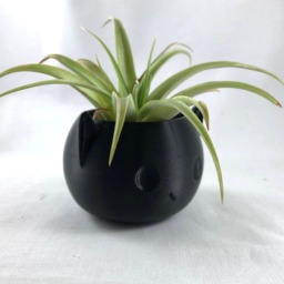Air Plant Holder, Holders, Planter Desk Gift, Mini Planter Pots, 3D Printed Planter, Unique Mini - thumbnail 3