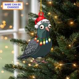Custom Name Pigeon Bird With Santa Hat & Christmas Lights Ornament, Tree Hanging Decor, Flat 2D Ornament - thumbnail 1