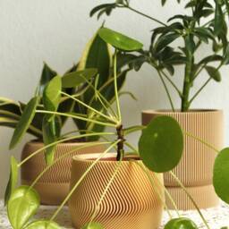 Set Of 3 Small Planters 3D-Printed Bioplastic Indoor Pots Mayla, Elif, Jadzia - thumbnail 3