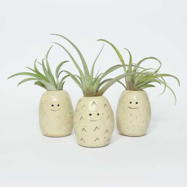 Handmade Stoneware Pineapple Air Plant Holder With Capitata Peach - image 1