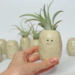 Handmade Stoneware Pineapple Air Plant Holder With Capitata Peach - thumbnail 2