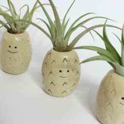 Handmade Stoneware Pineapple Air Plant Holder With Capitata Peach - thumbnail 4