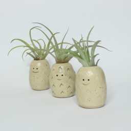 Handmade Stoneware Pineapple Air Plant Holder With Capitata Peach - thumbnail 3