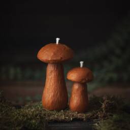 Mushroom Candles, Decoration, Autumn Decor, Home Beeswax Gift For Mom, Friend, Forest Candle - thumbnail 3