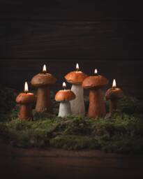 Mushroom Candles, Decoration, Autumn Decor, Home Beeswax Gift For Mom, Friend, Forest Candle - thumbnail 1