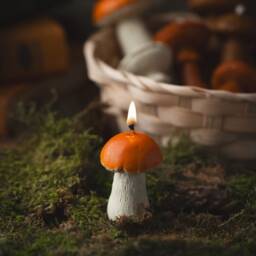 Mushroom Candles, Decoration, Autumn Decor, Home Beeswax Gift For Mom, Friend, Forest Candle - thumbnail 4