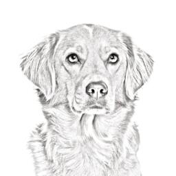 Nova Scotia Duck Tolling Retriever - Wooden Stand For Candles/Pens With The Image Of A Dog New Collection - thumbnail 2