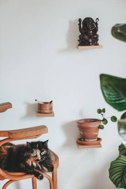 Minimalist Oak Plant Shelf Bohemian Hanging Wall Decor - image 1