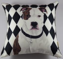 Pitbull Pillow - thumbnail 1