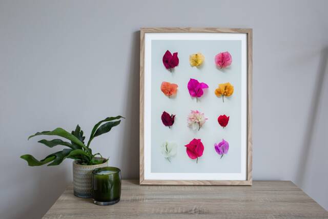 Bougainvillea Floral Print Australian Botanical Wall Art - image 1