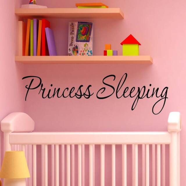 Princess Sleeping Nursery Wall Decal Vinyl Quote - Vwaq - image 1