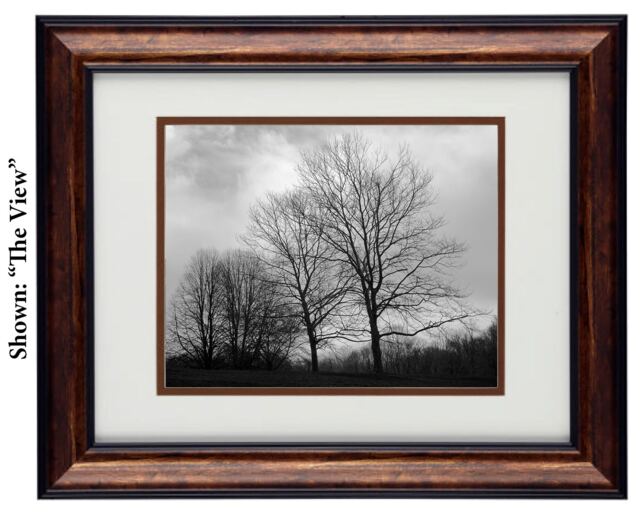 Winter Tree Landscape Wall Art, Framed Black & White New England Photography, Peaceful Nature Print For Sofa Decor - image 1