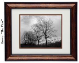 Winter Solitude - Framed New England Tree Photography Black & White Nature Wall Art