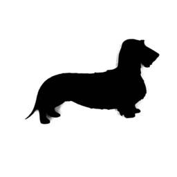 Dachshund Wire Coat Dog Wall Art Kennel Plaque Sign in Black - thumbnail 2