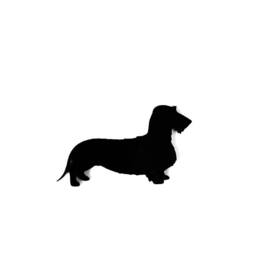 Dachshund Wire Coat Dog Wall Art Kennel Plaque Sign in Black - thumbnail 3