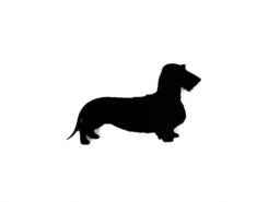 Dachshund Wire Coat Dog Wall Art Kennel Plaque Sign in Black - thumbnail 1