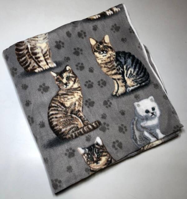Zoofleece Cat Gray Cats Kitten Persian Shorthair Animal Fleece Blanket Quilt Throw Comfortable Gift 50x60 - image 1