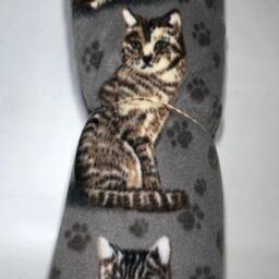 Zoofleece Cat Gray Cats Kitten Persian Shorthair Animal Fleece Blanket Quilt Throw Comfortable Gift 50x60 - thumbnail 3
