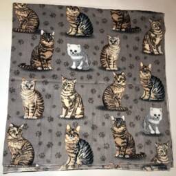 Zoofleece Cat Gray Cats Kitten Persian Shorthair Animal Fleece Blanket Quilt Throw Comfortable Gift 50x60 - thumbnail 2
