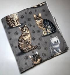 Zoofleece Cat Gray Cats Kitten Persian Shorthair Animal Fleece Blanket Quilt Throw Comfortable Gift 50x60 - thumbnail 1