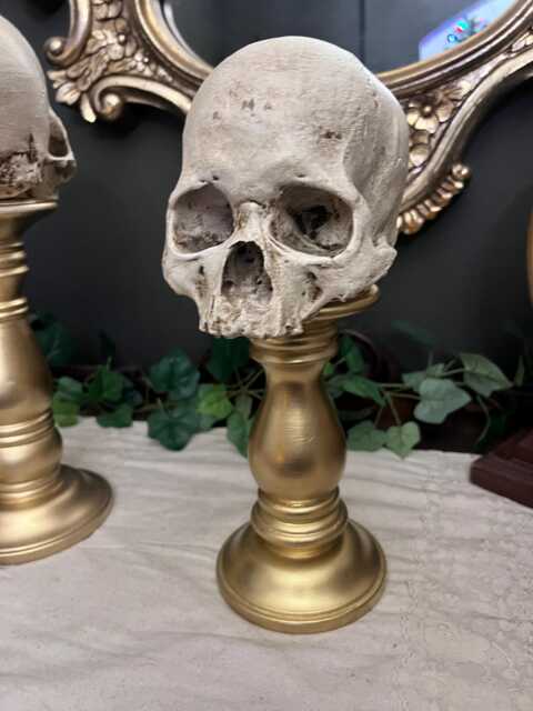 Skull Mounted Gold Pedestal Gothic Dark Academia Decor - image 1